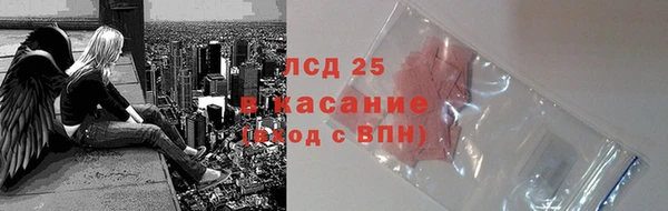 стафф Арсеньев