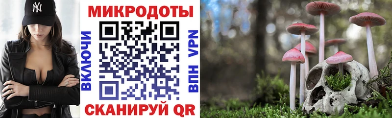 Псилоцибиновые грибы ЛСД  Сланцы 